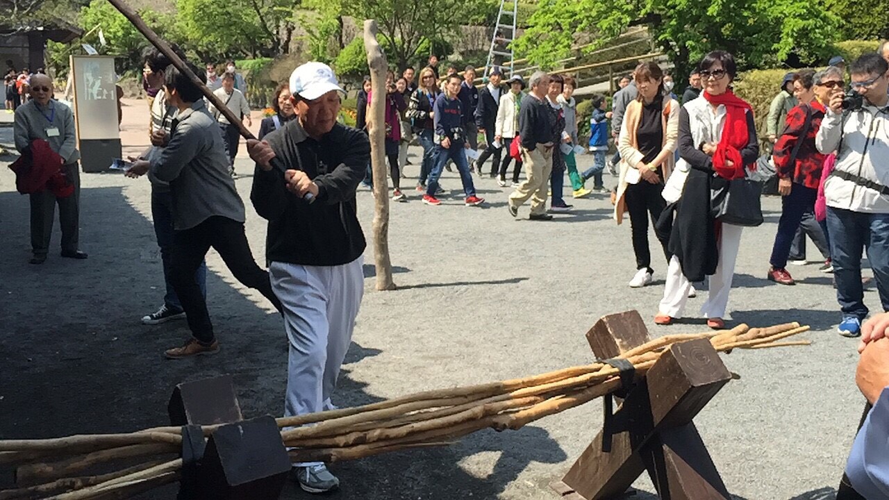 總會2018年春季旅遊─日本南九州鹿兒島賞櫻之旅 第5張